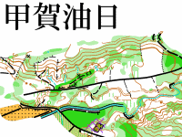 甲賀油日