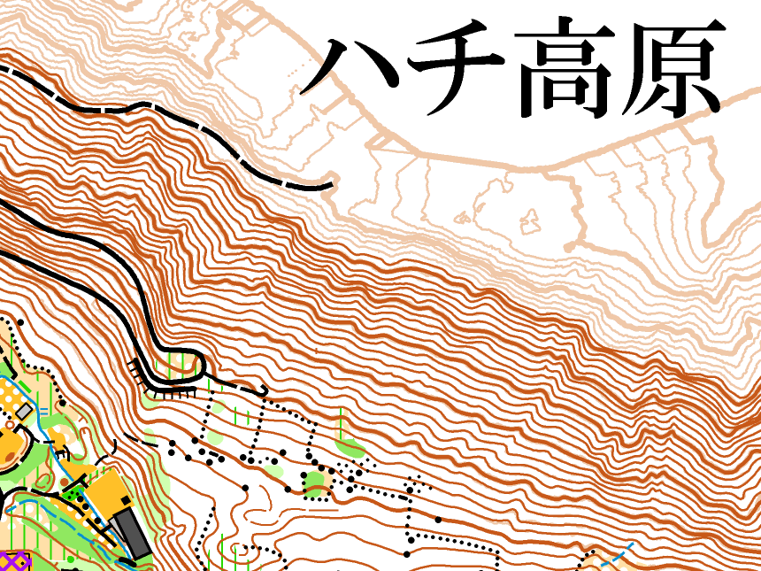 ハチ高原
