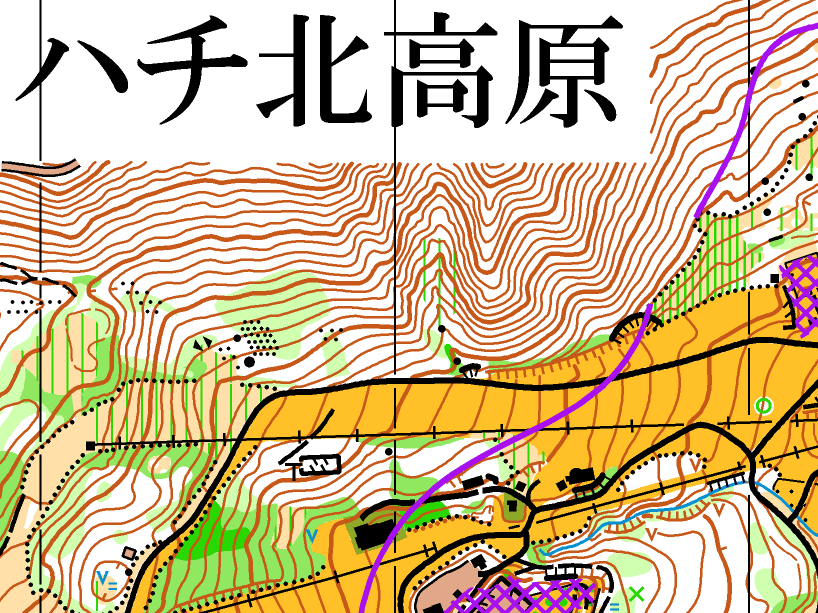 ハチ北高原